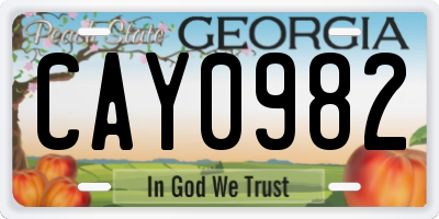 GA license plate CAY0982