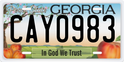 GA license plate CAY0983
