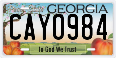 GA license plate CAY0984