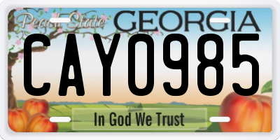 GA license plate CAY0985