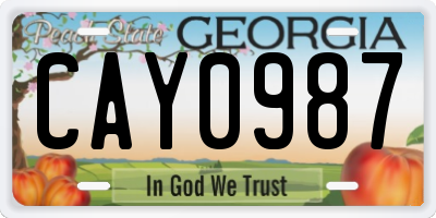 GA license plate CAY0987