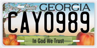 GA license plate CAY0989