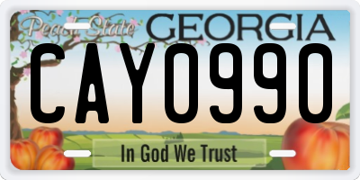 GA license plate CAY0990