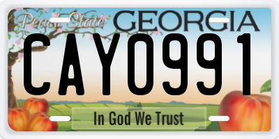 GA license plate CAY0991