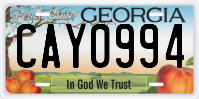 GA license plate CAY0994
