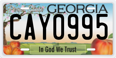 GA license plate CAY0995