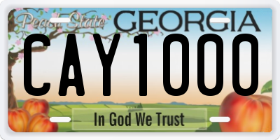 GA license plate CAY1000