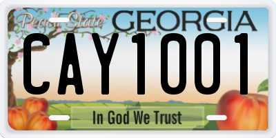 GA license plate CAY1001