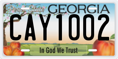 GA license plate CAY1002