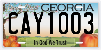GA license plate CAY1003