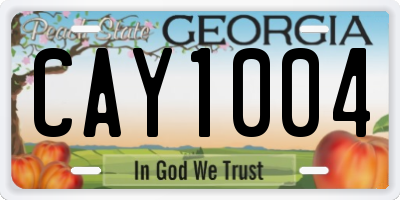 GA license plate CAY1004