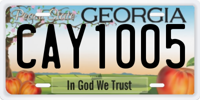 GA license plate CAY1005