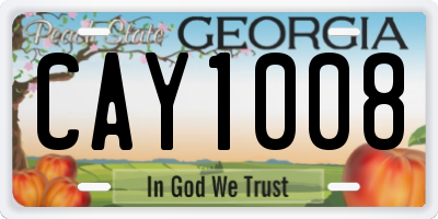 GA license plate CAY1008