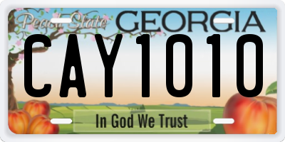 GA license plate CAY1010