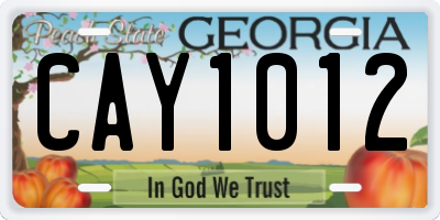 GA license plate CAY1012