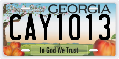 GA license plate CAY1013