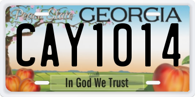 GA license plate CAY1014