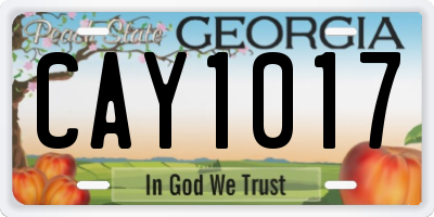 GA license plate CAY1017