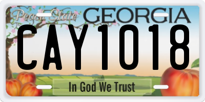 GA license plate CAY1018