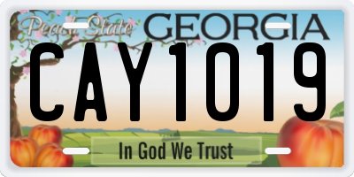 GA license plate CAY1019