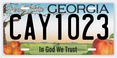 GA license plate CAY1023