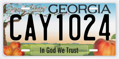 GA license plate CAY1024