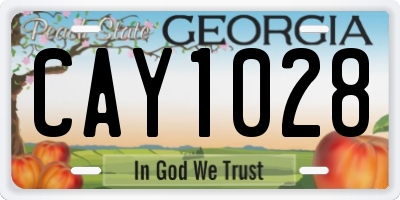 GA license plate CAY1028