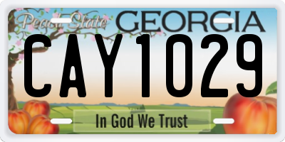 GA license plate CAY1029