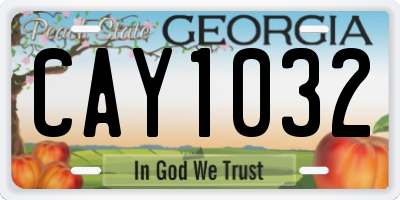 GA license plate CAY1032