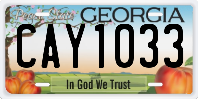 GA license plate CAY1033