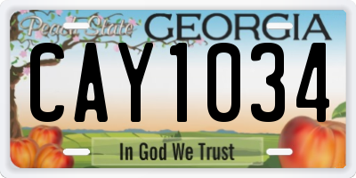GA license plate CAY1034