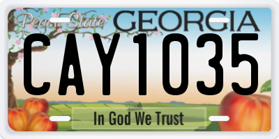 GA license plate CAY1035