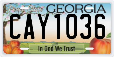GA license plate CAY1036