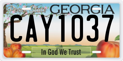 GA license plate CAY1037