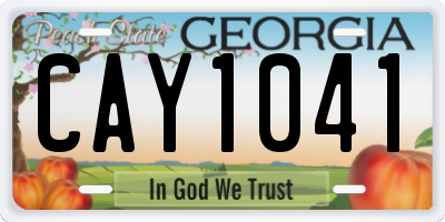 GA license plate CAY1041