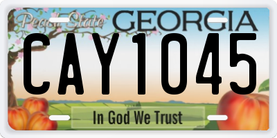 GA license plate CAY1045