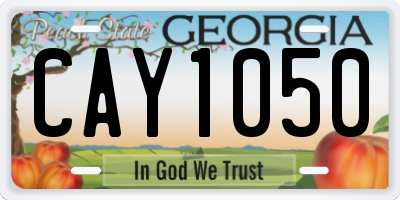 GA license plate CAY1050