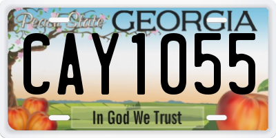 GA license plate CAY1055