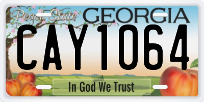 GA license plate CAY1064