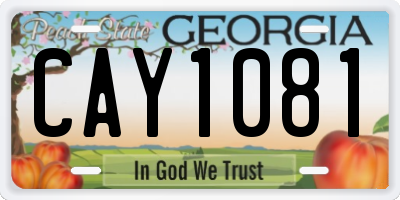 GA license plate CAY1081