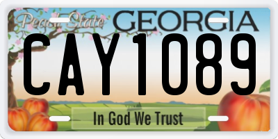 GA license plate CAY1089