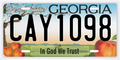 GA license plate CAY1098