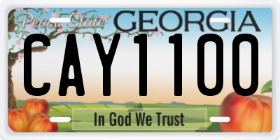 GA license plate CAY1100