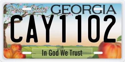 GA license plate CAY1102