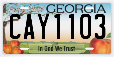 GA license plate CAY1103