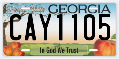GA license plate CAY1105