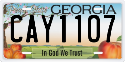 GA license plate CAY1107