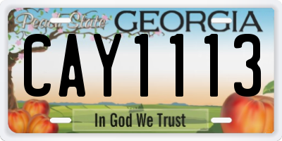 GA license plate CAY1113