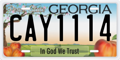GA license plate CAY1114