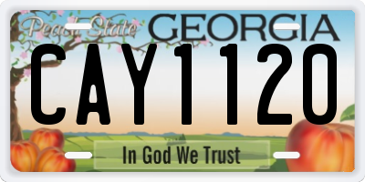 GA license plate CAY1120